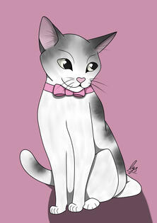 Pet 1