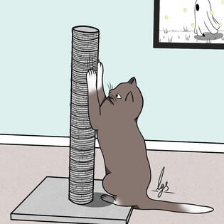 Pet 2
